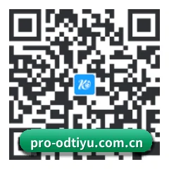 系统 HarmonyOS 二维码
